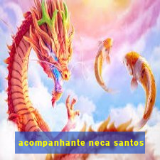 acompanhante neca santos